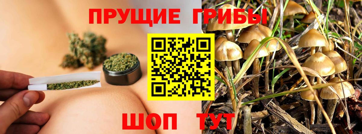 Ефремов  Галлюциногенные грибы мухоморы  Галлюциногенные грибы MAGIC MUSHROOMS  Вход с VPN 